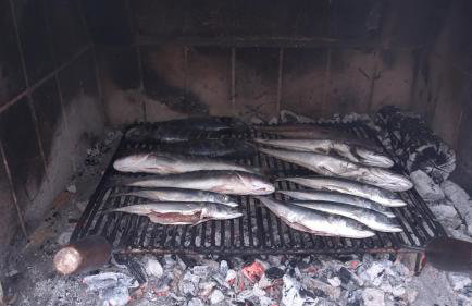 Apartments by the sea Stomorska, Solta - 11298 - Foto 9