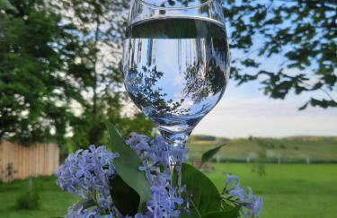 Mazurska Łąka - Foto 24