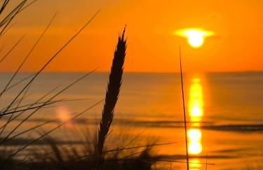 L’Abri-Côtier à 30 mètres de la mer - Foto 13