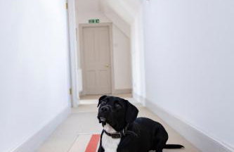 Coulin Farmhouse - Photo 34