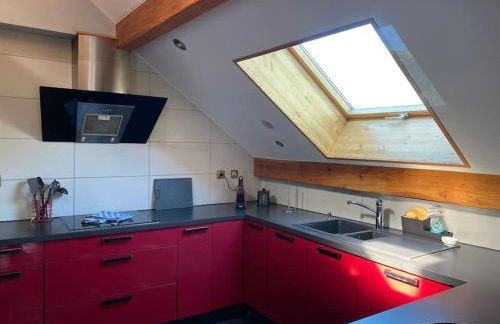 Montricher Karellis, à 5 min de Saint Jean de Maurienne - Foto 15