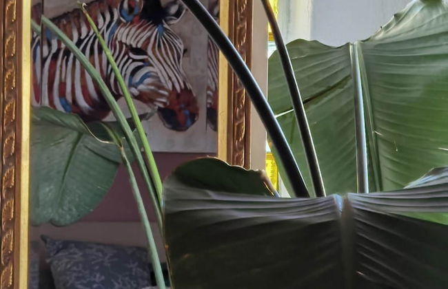 Freeman Greenlees Classical Greek - Foto 21