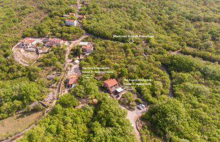 The Forest House Krk 2 - Photo 67