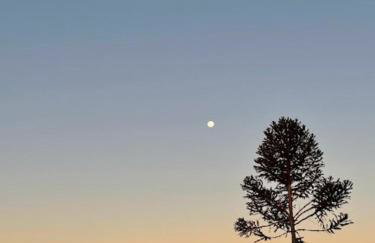 Casa de Vidro - Foto 28