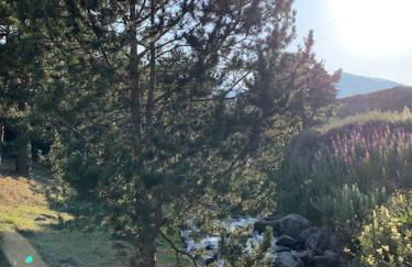 Aux trois marmottes - Chalet au pied des pistes - Foto 46