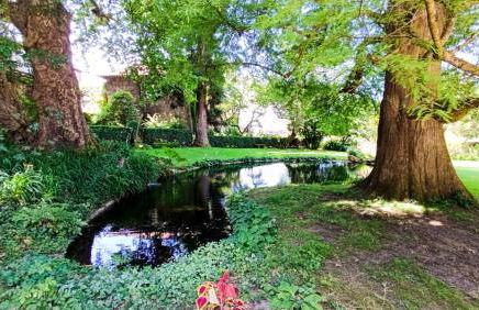 Orion Guest Villa Casais - Foto 71