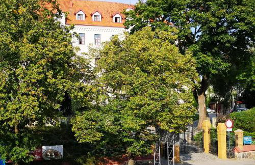 ApatramentyMer Ryn - Idealny dla Ciebie - Foto 30