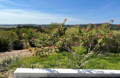 Holiday Home Landhaus mit Pool- in der Nähe von Montemor-o-Velho by Interhome - Foto 42