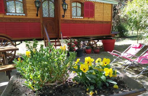 Les roulottes Vesta - Foto 39