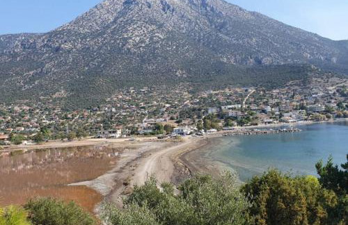 Villa Aliki - Photo 51