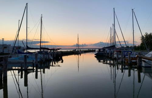 Das Schilfrohr - Foto 5