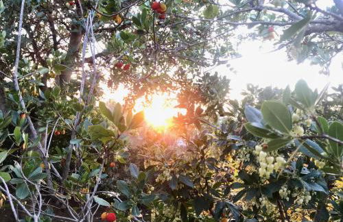 Villa Sara di Puglia - Foto 63