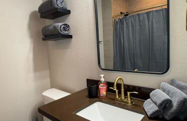 Central Houston Stay with Easy City Access - Foto 9