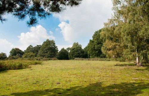 Laundry Cottage in a Nature Reserve - Sunday Times 100 coolest Cottages - Foto 23