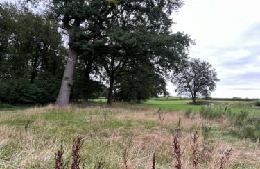 FeWo Brauel am Nordpfad Zevener Geest - Ruhige, moderne 2 Zimmer Wohnung, Ladestation, Parkplatz, Wlan, Garten - Foto 31