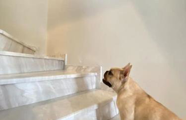 Villa Belvedere Flogita - Foto 8