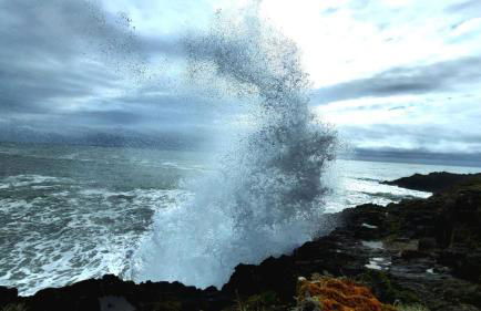 Portec la mer et le sentier côtier à pied - Foto 51