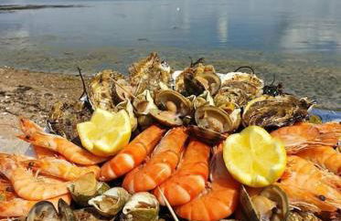 Coté Golfe - Golfe du Morbihan - Foto 48