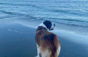 Delphina House - Foto 31