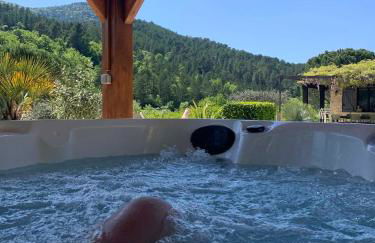 Maison en pierre, piscine, spa - Foto 3