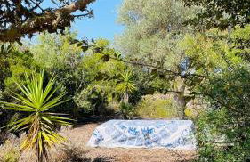 Dona Maria 66 - Foto 37