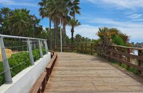 Hello Cosmo - Photo 30