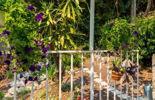 Friendly Apartments - Photo 35