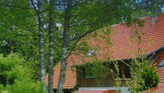 Schwarzwald Escape - Foto 2