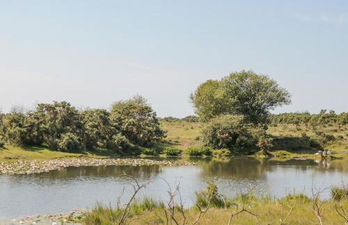 Gwydn Lodge - Photo 36