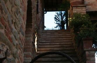 Agriturismo Le Selve - Foto 18