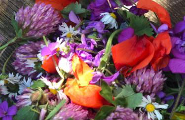 Maison les pieds dans l'eau - Foto 40