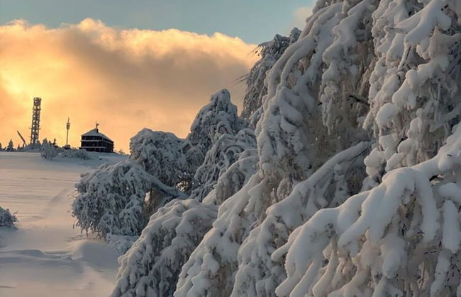 Holiday Home "fuchsbau" - Foto 31