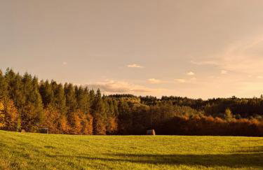 Świerkowe Ranczo Raciszewo - Foto 54