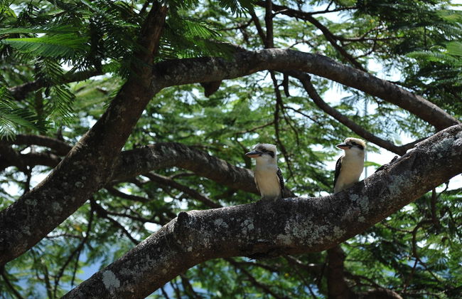 The Sanctuary Retreat - Foto 15