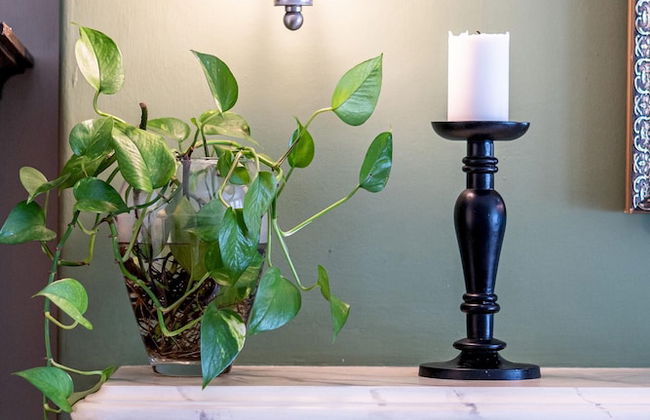 The Regency Studio 82cathedral - Foto 2