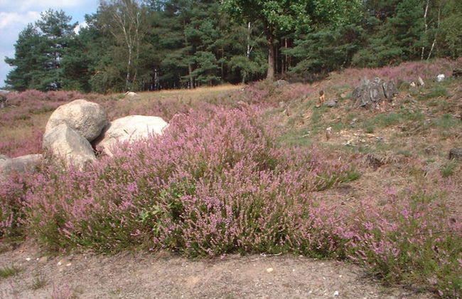 Holiday Home Hirtenkate Apartment 1 - Foto 26