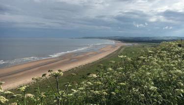 Dunnottar Woods Cottage - Photo 4