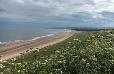 Dunnottar Woods Cottage - Foto 4