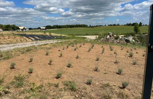 Koniec Świata Stare Sady apartament - Foto 31