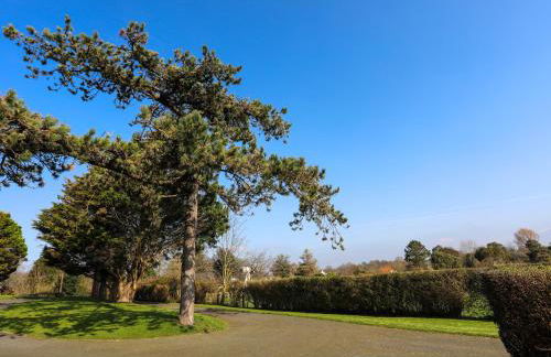 Tan Twr Farm Cottage - Foto 24