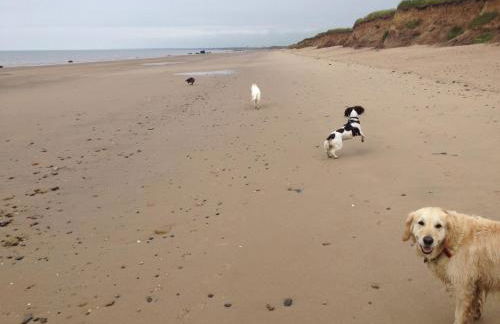 Peaceful Dog Friendly Cottage near Bridlington - Foto 4