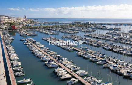 rentafive - Nuevo - AA - Reformado - Piscina - Photo 39