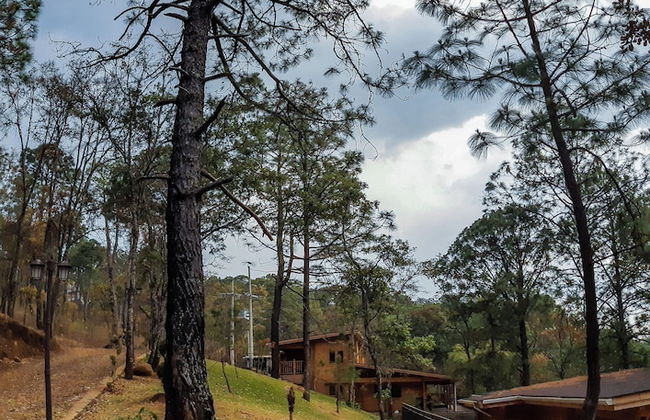 Cabañas Santa Barbara - Foto 24