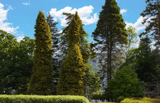 The Highland Club - Foto 76