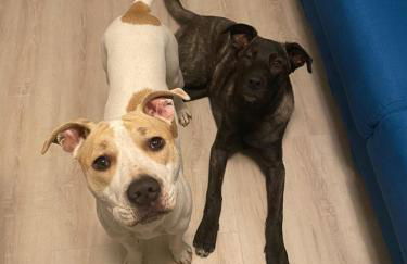 La Casa di Pamy - Foto 66