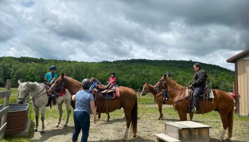 Cozy Ski in out Cabin in Berkshire Resort - Foto 5