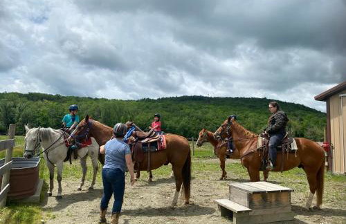 Cozy Ski in out Cabin in Berkshire Resort - Foto 5