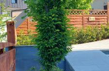 Apartmani Remete - Foto 77