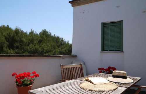 Azienda Agricola Francesca Stajano - Foto 22