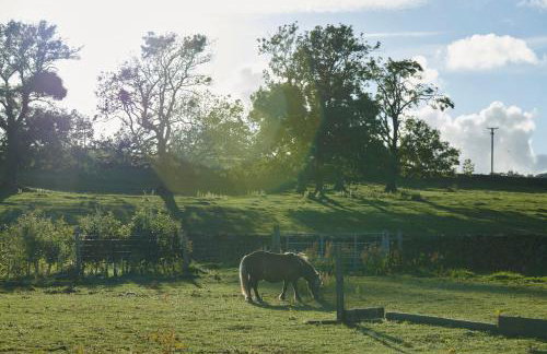 Whernside Lodge - Foto 22